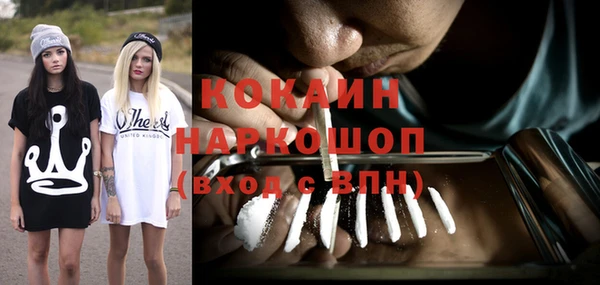 крисы Армянск