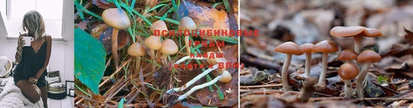 бутик Аркадак