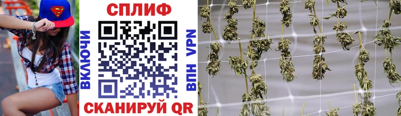Купить закладки  Покачи  МАРИХУАНА White Widow 
